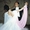 Танцы Тольятти НОУ "Танцмейстер-Бегония" - Изображение #1, Объявление #16343