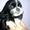 продаются щенки американского кокер спаниеля  - Изображение #5, Объявление #144742