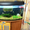 аквариум 250 литров - Изображение #3, Объявление #209711