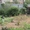 дачный участок в экологически чистом районе поселка Федоровка вблизи Волги. - Изображение #1, Объявление #275462