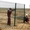 Забор из сварных панелей - Изображение #3, Объявление #620180
