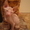 Продам котика породы Донской сфинкс - Изображение #1, Объявление #652253