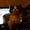 очаровашки котята - Изображение #2, Объявление #731613