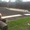 Укладка рулонного газона! от 50 руб. за м2.Самара, Тольятти, Сызрань.+79277770575 #1538087
