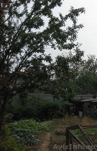 дачный участок в экологически чистом районе поселка Федоровка вблизи Волги. - Изображение #3, Объявление #275462