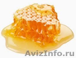Пчелиный мёд оптом и в розницу - Изображение #1, Объявление #369354