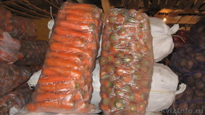 ✔ Продаем морковь со склада г.Тольятти - Изображение #3, Объявление #463276
