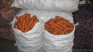 ✔ Продаем морковь со склада г.Тольятти - Изображение #4, Объявление #463276