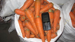 ✔ Продаем морковь со склада г.Тольятти - Изображение #6, Объявление #463276