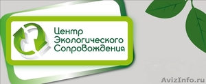 Разработка экологической документации - Изображение #1, Объявление #547663