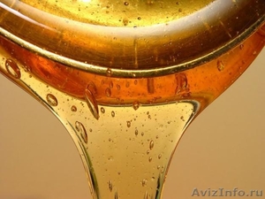 Мед 2012 г. Цветочный мед от 70 р./кг - Изображение #1, Объявление #716348