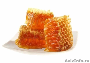 Мед 2012 г. Цветочный мед от 70 р./кг - Изображение #2, Объявление #716348