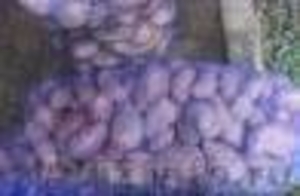 продам: сетка овощная, сета рукав для фасовки - Изображение #1, Объявление #250512