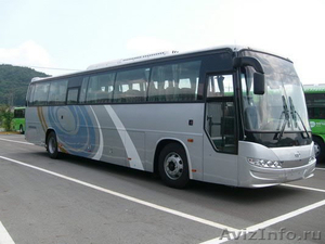 Продаём автобусы Дэу Daewoo  Хундай  Hyundai  Киа  Kia  в  Омске. Тольятти - Изображение #2, Объявление #849498