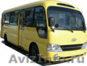 Продаём автобусы Дэу Daewoo  Хундай  Hyundai  Киа  Kia  в  Омске. Тольятти - Изображение #5, Объявление #849498