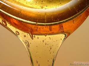 Продам Цветочный мед, разнотравье 2012 г. 500 р/3л. в Тольятти - Изображение #2, Объявление #891792