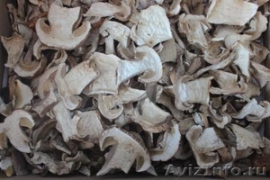 Сушеные белые грибы из Алтайского края - Изображение #1, Объявление #1142803